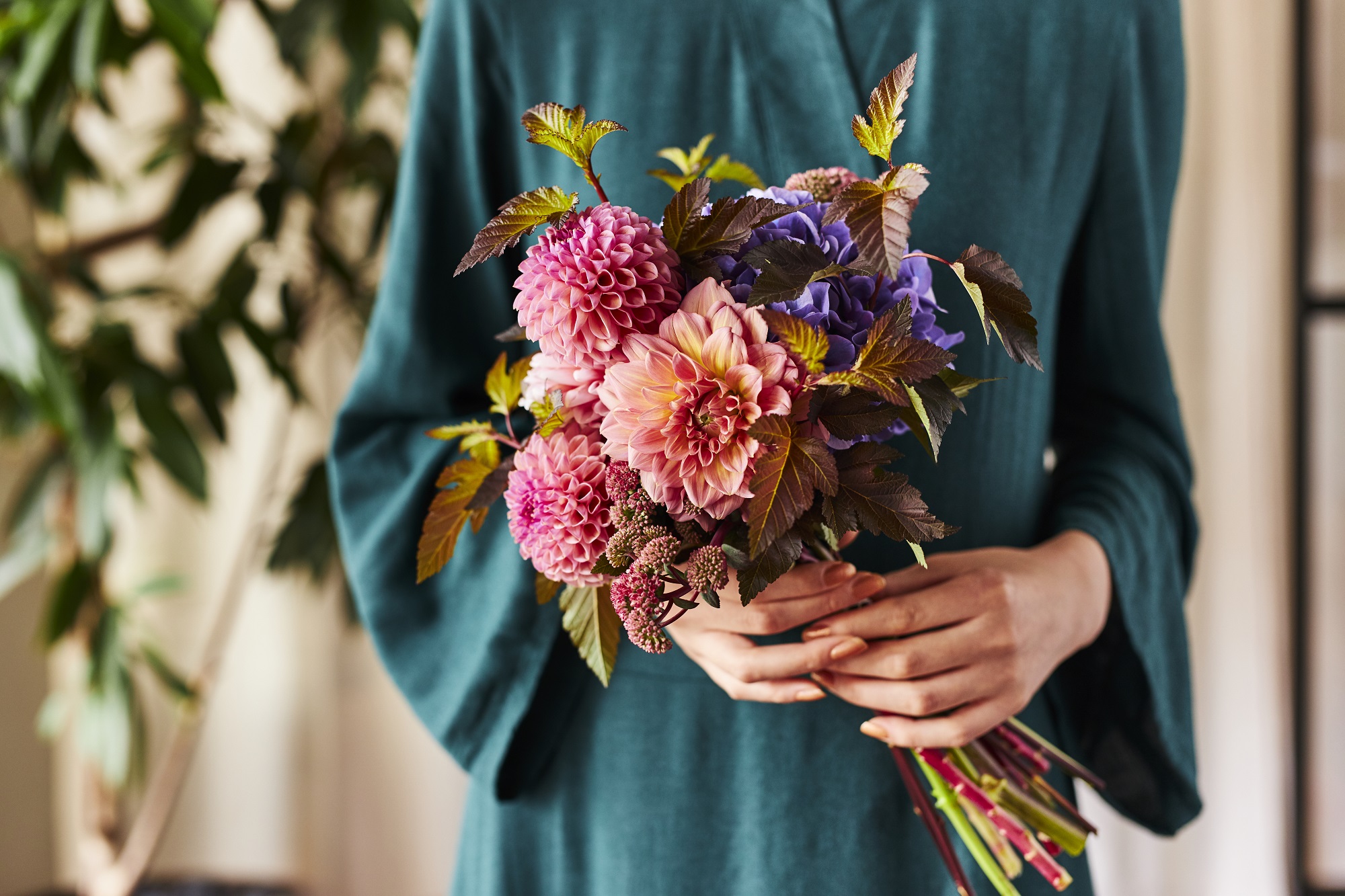 コラム Today S Flower ダリア 花 フラワーギフトなら青山フラワーマーケット 青山フラワーマーケット公式 花屋 花 花束 フラワーギフト 通販