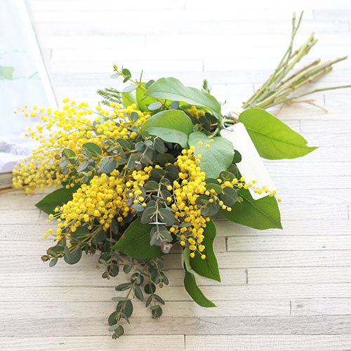 ミモザとグリーンのスワッグ 青山フラワーマーケット公式 花屋 花 花束 フラワーギフト 通販 ミモザとグリーンのスワッグ 青山フラワーマーケット公式 花屋 花 花束 フラワーギフト 通販