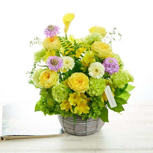 カラードアレンジメント（ミモザ）