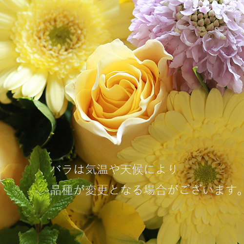 5 17 6 30到着 プレゼントにぴったり カラードブーケ ミモザ 青山フラワーマーケット公式 花屋 花 花束 フラワーギフト 通販
