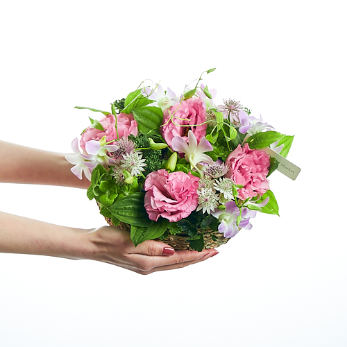 8 8 31到着 環状は永遠に続く幸せの象徴 カラードアレンジメント ペシュ 青山フラワーマーケット公式 花屋 花 花束 フラワーギフト 通販