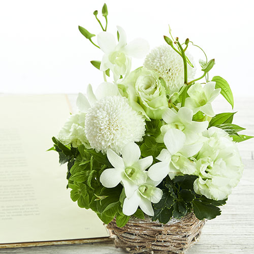 偲ぶ気持ちを込めたやさしい花色に込めたお供え お悔やみのお花 青山フラワーマーケット 偲ぶ気持ちを込めたやさしい花色に込めたお供え お悔やみのお花 青山フラワーマーケット