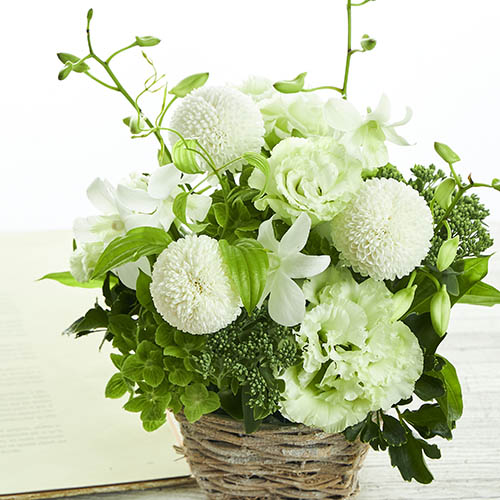 偲ぶ気持ちを込めたやさしい花色に込めたお供え お悔やみのお花 青山フラワーマーケット 偲ぶ気持ちを込めたやさしい花色に込めたお供え お悔やみのお花 青山フラワーマーケット