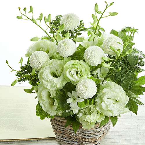 偲ぶ気持ちを込めたやさしい花色に込めたお供え お悔やみのお花 青山フラワーマーケット 偲ぶ気持ちを込めたやさしい花色に込めたお供え お悔やみのお花 青山フラワーマーケット