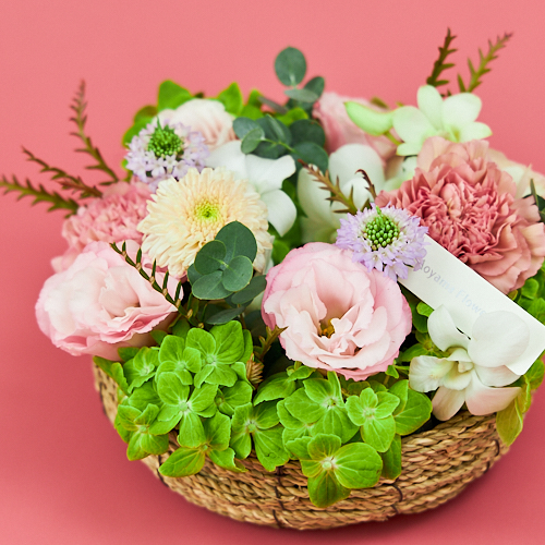 開店 移転 新居 引越し祝い 青山フラワーマーケット公式 花屋 花 花束 フラワーギフト 通販