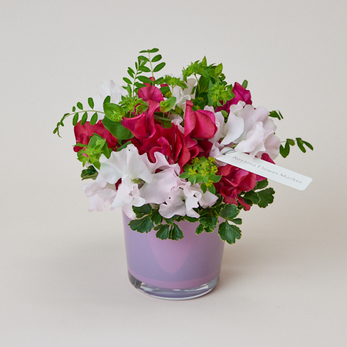 スイートピーの日 スイートピーアレンジメント ロゼ 1 1 23到着 1月21日は スイートピーの日 青山フラワーマーケット公式 花屋 花 花束 フラワーギフト 通販