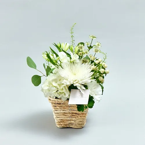 お悔やみ・お供えの花（お盆・お彼岸） | 青山フラワーマーケット