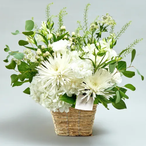 10/1～12/27到着】偲ぶ気持ちを込めた贈り物白のメモリアル