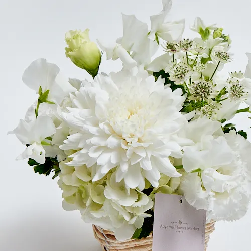 1/9～2/28到着】偲ぶ気持ちを込めた贈り物とらや／ゆるるか6個入と白の