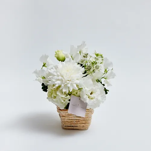 お供えの花・お悔やみの花特集｜青山フラワーマーケット