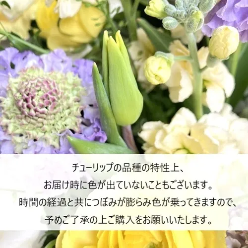 1/8～2/28到着】オリジナルフラワーベース付き カラードブーケ（ミモザ