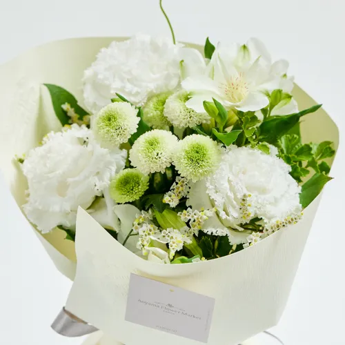 マム | 青山フラワーマーケット | 青山フラワーマーケット｜花や緑  