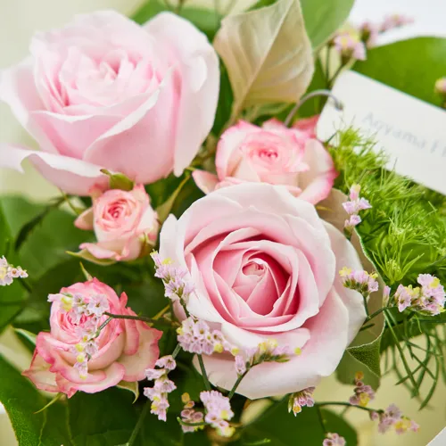 薔薇の花は薄紅く咲く 全16巻セット 薔薇の花は薄紅く咲く 全16巻セット 51821Vz8Y8L