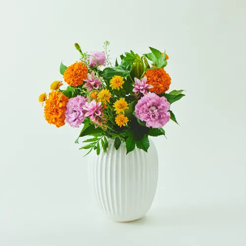 8/1～8/15到着】ボリューム豊かな初秋の花で熟した果実を表現