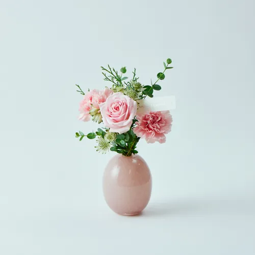 青山フラワーマーケット | 5,000円～9,999円の商品 | 青山