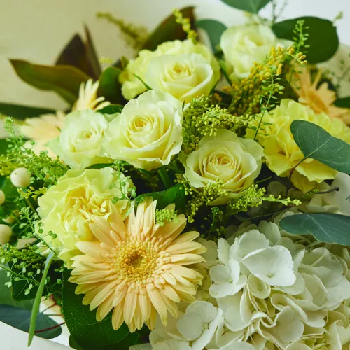 10/1～12/26到着】両手いっぱいに花束を抱える幸せ カラードブーケ