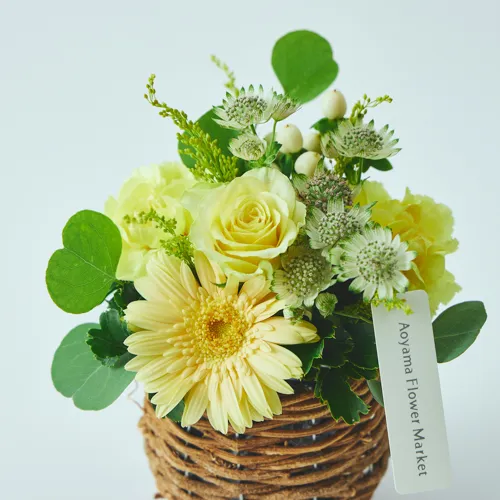 青山フラワーマーケット | 3,000円～4,999円の商品 | 青山フラワー