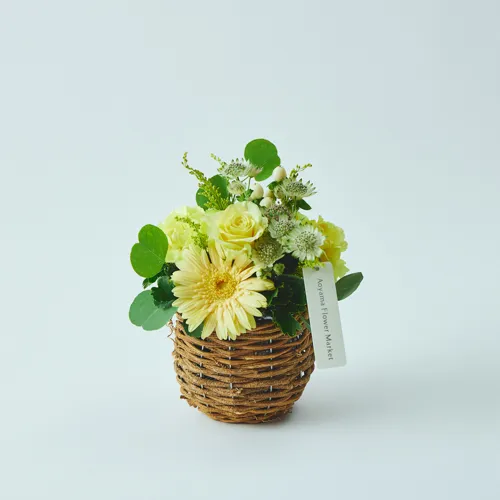 10/1～12/26到着】そのまま飾って楽しめる、華やかなフラワーギフト