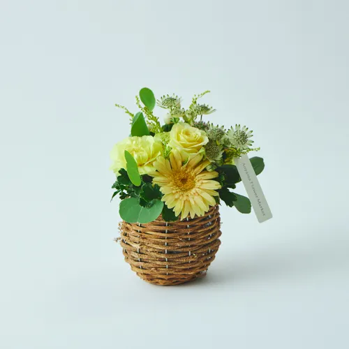 10/1～12/26到着】そのまま飾って楽しめる、華やかなフラワーギフト