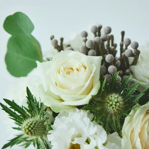 10/1～12/25到着】そのまま飾って楽しめるフラワーギフト カラード