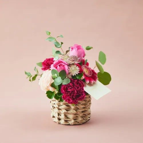 フラワーさま専用 お取り置き10日 ドライフラワー スターフラワー グリーン【封入資材/封入パーツ/押し花