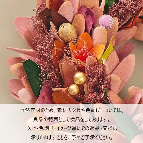 ④CR ハロウィン ありさか だちょー on X: 