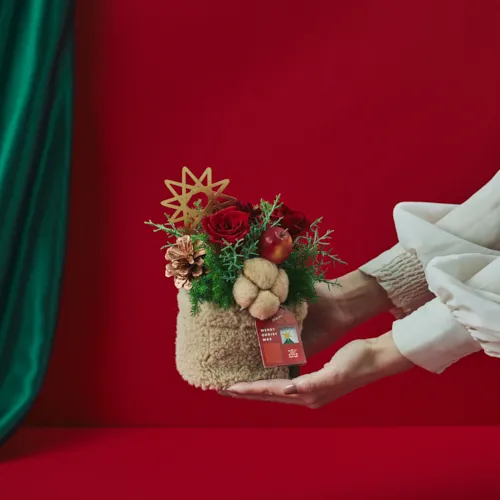 ぬくもり溢れるアレンジメント【クリスマス】Moffy（モフィー
