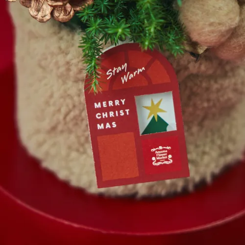 ぬくもり溢れるアレンジメント【クリスマス】Moffy（モフィー
