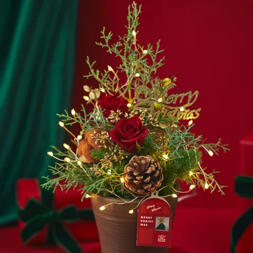 ライトがきらめく、ツリー風アレンジメント【クリスマス】ツリー