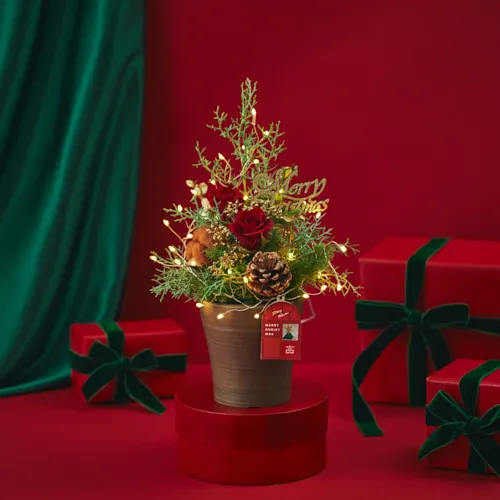 ライトがきらめく、ツリー風アレンジメント【クリスマス】ツリー