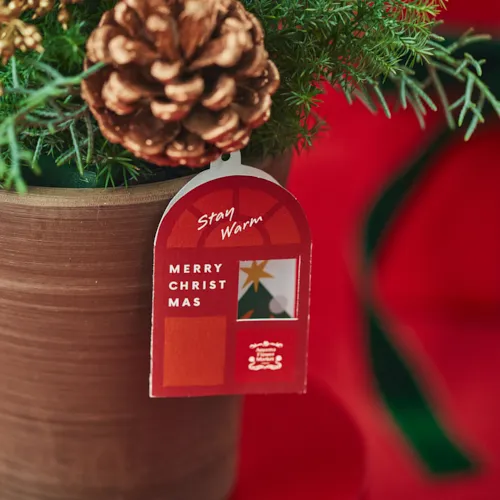 置くだけで華やぐ、ツリー風アレンジメント【クリスマス】ツリー