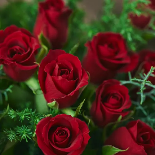 上品な12本のバラのブーケ×フラワーベース【クリスマス】Carol vase M