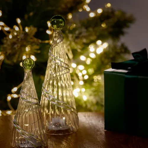 11/20～12/25到着】ささやかな光が美しいグラスツリー 青山フラワー