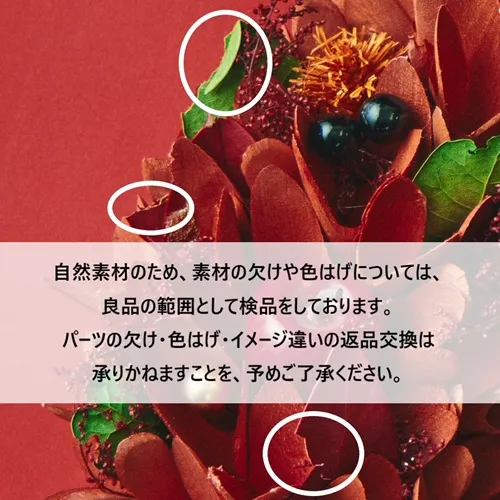 11/10～12/25到着】さくらんぼがアクセントのレッドリース クリスマス