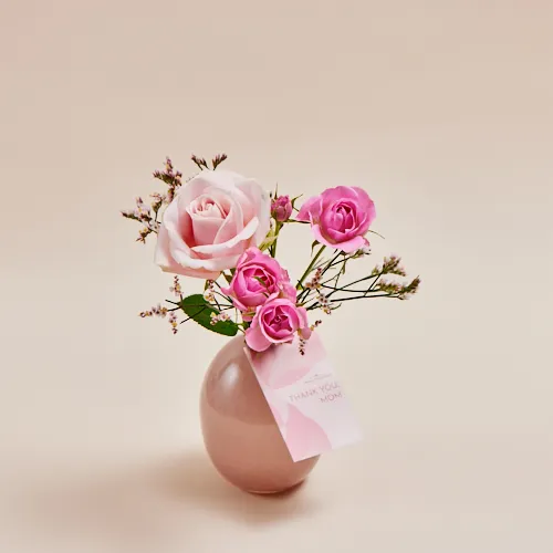 新品限定ナナマカロンローズマーブルピンク1箱プリマヴェーラ