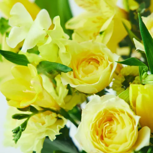 1/8～2/28到着】オリジナルフラワーベース付き カラードブーケ（ミモザ