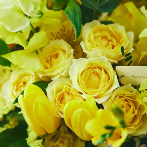 1/8～2/28到着】両手いっぱいに花束を抱える幸せ カラードブーケ