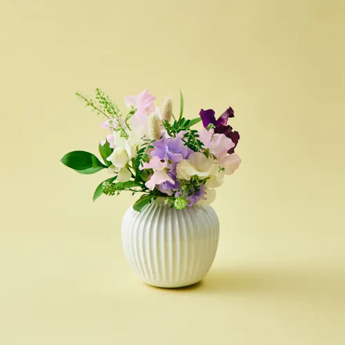 1/9～1/21到着】飛び立つ蝶を思わせるスイートピーが主役 スイートピー