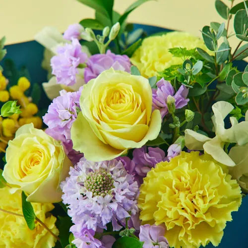 1/23～2/28到着】春の香りをまとったフラワーギフト ミモザの花ギフト