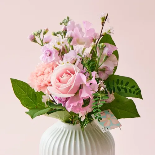 2/1～3/31到着】凛と咲き誇る春の訪れを知らせる花々×花瓶セット