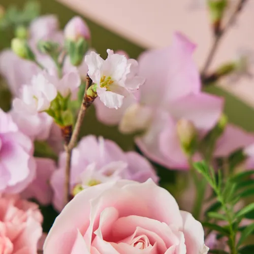 2/1～3/31到着】凛と咲き誇る春の訪れを知らせる花々×花瓶セット