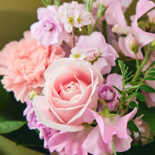 2/1～3/31到着】凛と咲き誇る春の訪れを知らせる花々×花瓶セット