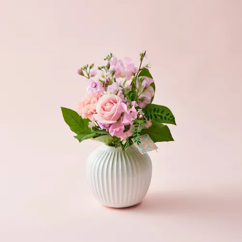 2/1～3/31到着】凛と咲き誇る春の訪れを知らせる花々×花瓶セット