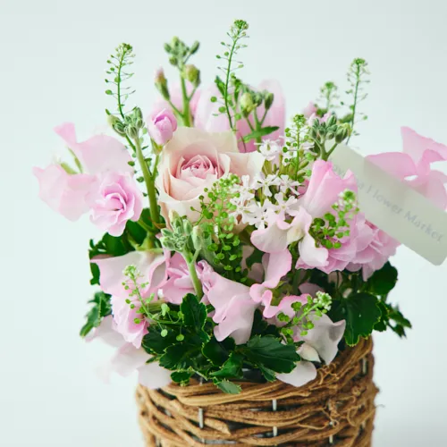 アレンジメント | 青山フラワーマーケット | 青山フラワーマーケット