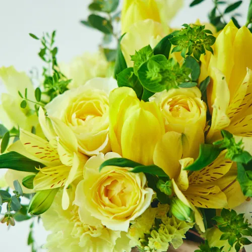 1/8～2/28到着】お祝いやお礼など様々なご用途に カラード