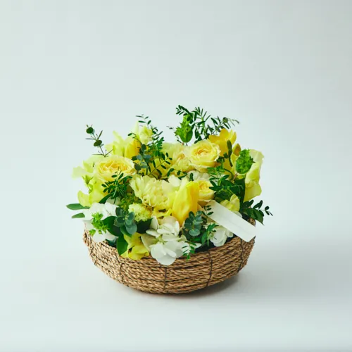 EARTH MATTERS あじさい モーニングイエロー12個セット EARTH MATTERS