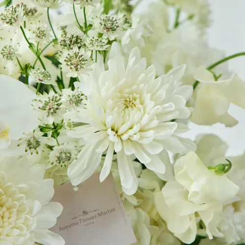 2/1～2/28到着】心安らぐ花の香りのお線香とともにお届け 胡蝶蘭の