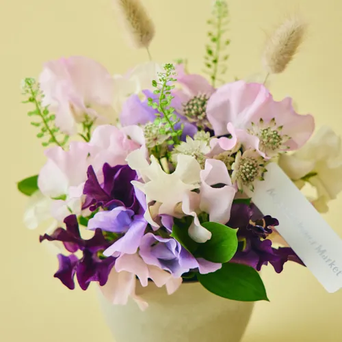 スイートピー | 青山フラワーマーケット | 青山フラワーマーケット