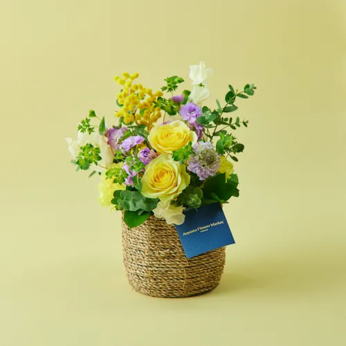 1/23～2/28到着】春の香りをまとったフラワーギフト ミモザの花ギフト