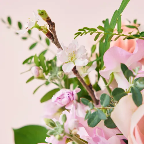 2/1～3/31到着】おうちでお花見できるそのまま飾れるアレンジ 桜ギフト